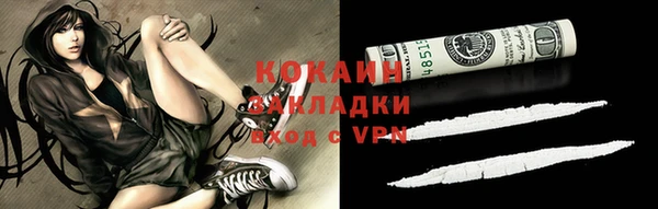 соль ск Алексин