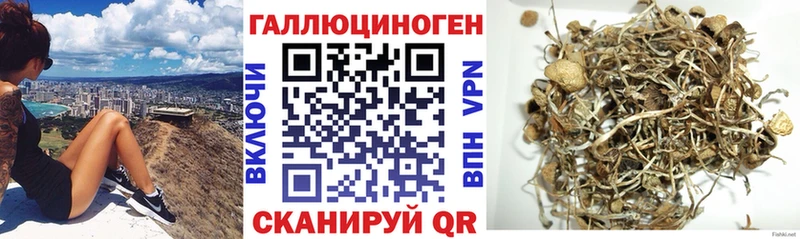 Купить где  Невельск  Галлюциногенные грибы Magic Shrooms 